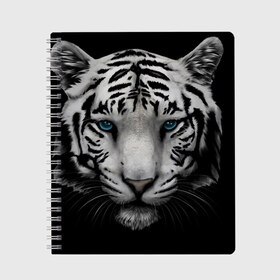 Тетрадь с принтом Белый Тигр в Новосибирске, 100% бумага | 48 листов, плотность листов — 60 г/м2, плотность картонной обложки — 250 г/м2. Листы скреплены сбоку удобной пружинной спиралью. Уголки страниц и обложки скругленные. Цвет линий — светло-серый
 | tiger | животное | тигр | тигрица | чернобелый