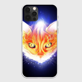 Чехол для iPhone 12 Pro Max с принтом Сеяющий кот в Новосибирске, Силикон |  | звёзды | кот | сеяние | чёрный фон