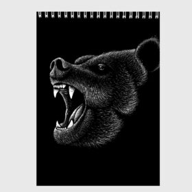 Скетчбук с принтом Черный медведь в Новосибирске, 100% бумага
 | 48 листов, плотность листов — 100 г/м2, плотность картонной обложки — 250 г/м2. Листы скреплены сверху удобной пружинной спиралью | Тематика изображения на принте: art | bear | bears | drawing | russian | siberia | siberian | арт | белый | бурый | злой | зубы | косолапый | медведь | мелками | мелком | мелом | мех | миша | мишка | нарисованный | пасть | потапыч | рисунок | русский | рык | рычит