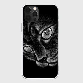 Чехол для iPhone 12 Pro Max с принтом Волшебный кот в Новосибирске, Силикон |  | black | cat | eyes | kitten | kitty | pussy | pussycat | взгляд | глаз | глаза | кот | кота | котенок | коты | котят | котята | котячьи | кошачьи | кошка | кошки | мордочка | нос | носик | с котом | усатый | усики | усища | усищи | че