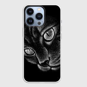 Чехол для iPhone 13 Pro с принтом Волшебный кот в Новосибирске,  |  | black | cat | eyes | kitten | kitty | pussy | pussycat | взгляд | глаз | глаза | кот | кота | котенок | коты | котят | котята | котячьи | кошачьи | кошка | кошки | мордочка | нос | носик | с котом | усатый | усики | усища | усищи | че