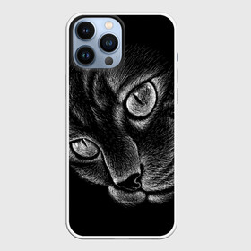 Чехол для iPhone 13 Pro Max с принтом Волшебный кот в Новосибирске,  |  | black | cat | eyes | kitten | kitty | pussy | pussycat | взгляд | глаз | глаза | кот | кота | котенок | коты | котят | котята | котячьи | кошачьи | кошка | кошки | мордочка | нос | носик | с котом | усатый | усики | усища | усищи | че