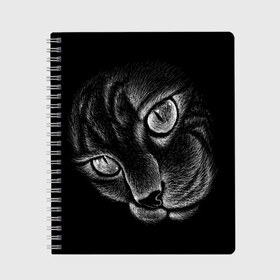 Тетрадь с принтом Волшебный кот в Новосибирске, 100% бумага | 48 листов, плотность листов — 60 г/м2, плотность картонной обложки — 250 г/м2. Листы скреплены сбоку удобной пружинной спиралью. Уголки страниц и обложки скругленные. Цвет линий — светло-серый
 | black | cat | eyes | kitten | kitty | pussy | pussycat | взгляд | глаз | глаза | кот | кота | котенок | коты | котят | котята | котячьи | кошачьи | кошка | кошки | мордочка | нос | носик | с котом | усатый | усики | усища | усищи | че