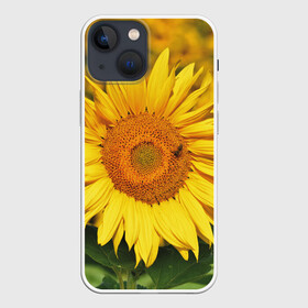 Чехол для iPhone 13 mini с принтом Подсолнух в Новосибирске,  |  | подсолнух | подсолнухи | природа | растение | растения | флора | фотография | цвет | цветами | цветов | цветок | цветочек | цветочки | цветочные | цветочный | цветы