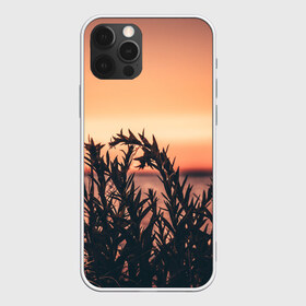 Чехол для iPhone 12 Pro Max с принтом Трава растение закат силуэт в Новосибирске, Силикон |  | Тематика изображения на принте: закат | кусты | лето | на каждый день | природа | рассвет | растение | свет | силуэт
