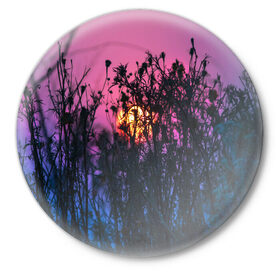 Значок с принтом Трава растения закатный свет в Новосибирске,  металл | круглая форма, металлическая застежка в виде булавки | вечер | закат | мило | небо | поле | рассвет | растения | свет | сумерки | сухоцвет