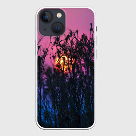 Чехол для iPhone 13 mini с принтом Трава растения закатный свет в Новосибирске,  |  | вечер | закат | мило | небо | поле | рассвет | растения | свет | сумерки | сухоцвет