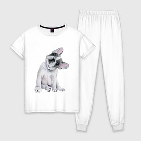 Женская пижама хлопок с принтом бульдог в Новосибирске, 100% хлопок | брюки и футболка прямого кроя, без карманов, на брюках мягкая резинка на поясе и по низу штанин | бульдог | животные | песокафе | рисунок | собаки