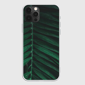 Чехол для iPhone 12 Pro Max с принтом Ветка палмы в Новосибирске, Силикон |  | ветка | листья | нуар | пальма | папоротник | природа | экзотика