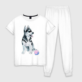 Женская пижама хлопок с принтом Хаски в Новосибирске, 100% хлопок | брюки и футболка прямого кроя, без карманов, на брюках мягкая резинка на поясе и по низу штанин | животные | песокафе | рисунок | собаки | хаски