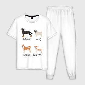 Мужская пижама хлопок с принтом ротвейлер мопс акита джек в Новосибирске, 100% хлопок | брюки и футболка прямого кроя, без карманов, на брюках мягкая резинка на поясе и по низу штанин
 | акита ину | джек рассел | мопс | песокафе | ротвейлер | собаки
