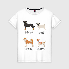 Женская футболка хлопок с принтом ротвейлер мопс акита джек в Новосибирске, 100% хлопок | прямой крой, круглый вырез горловины, длина до линии бедер, слегка спущенное плечо | акита ину | джек рассел | мопс | песокафе | ротвейлер | собаки