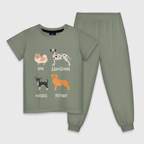 Детская пижама хлопок с принтом шпиц ретривер белый в Новосибирске, 100% хлопок |  брюки и футболка прямого кроя, без карманов, на брюках мягкая резинка на поясе и по низу штанин
 | Тематика изображения на принте: далматинец | песокафе | ретривер | собаки | чихуахуа | шпиц