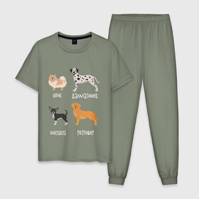 Мужская пижама хлопок с принтом шпиц ретривер белый в Новосибирске, 100% хлопок | брюки и футболка прямого кроя, без карманов, на брюках мягкая резинка на поясе и по низу штанин
 | Тематика изображения на принте: далматинец | песокафе | ретривер | собаки | чихуахуа | шпиц