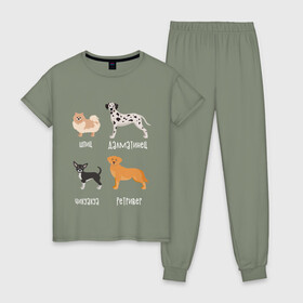Женская пижама хлопок с принтом шпиц ретривер белый в Новосибирске, 100% хлопок | брюки и футболка прямого кроя, без карманов, на брюках мягкая резинка на поясе и по низу штанин | Тематика изображения на принте: далматинец | песокафе | ретривер | собаки | чихуахуа | шпиц