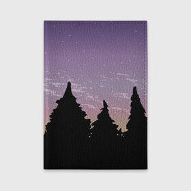 Обложка для автодокументов с принтом Лес под ночным небом в Новосибирске, натуральная кожа |  размер 19,9*13 см; внутри 4 больших “конверта” для документов и один маленький отдел — туда идеально встанут права | Тематика изображения на принте: вечер | градиент | закат | звездное небо | звезды | лес | небо | очертание | очертание леса | сумерки | тайга | фиолетовый | черный