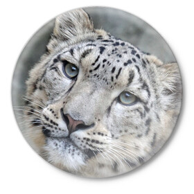 Значок с принтом Ирбис в Новосибирске,  металл | круглая форма, металлическая застежка в виде булавки | snow leopard | барс | барсы | животное | животные | звери | зверь | зима | зимы | ирбис | киски | кот | коты | кошачьи | кошка | кошки | мохнатые | мохнатый | пятнистые | пятнистый | снег | снежный