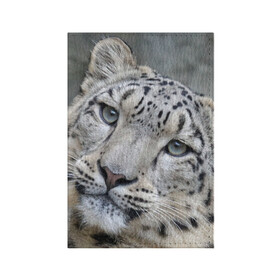 Обложка для паспорта матовая кожа с принтом Ирбис в Новосибирске, натуральная матовая кожа | размер 19,3 х 13,7 см; прозрачные пластиковые крепления | snow leopard | барс | барсы | животное | животные | звери | зверь | зима | зимы | ирбис | киски | кот | коты | кошачьи | кошка | кошки | мохнатые | мохнатый | пятнистые | пятнистый | снег | снежный