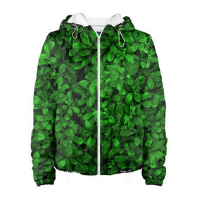 Женская куртка 3D с принтом Свежая трава в Новосибирске, ткань верха — 100% полиэстер, подклад — флис | прямой крой, подол и капюшон оформлены резинкой с фиксаторами, два кармана без застежек по бокам, один большой потайной карман на груди. Карман на груди застегивается на липучку | арт | зелёный | светлый | тёмный | четкий
