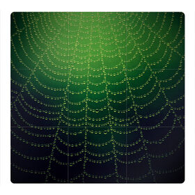 Магнитный плакат 3Х3 с принтом Паутина в лесу в Новосибирске, Полимерный материал с магнитным слоем | 9 деталей размером 9*9 см | бусины | зеленый | капли | капли воды | лестница | паутина | раса