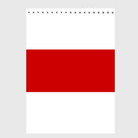 Скетчбук с принтом Первый флаг Беларуси в Новосибирске, 100% бумага
 | 48 листов, плотность листов — 100 г/м2, плотность картонной обложки — 250 г/м2. Листы скреплены сверху удобной пружинной спиралью | беларусь | бело красно белый | бело красный флаг беларуси | первый флаг беларуси | старый флаг белоруссии | флаг беларуси