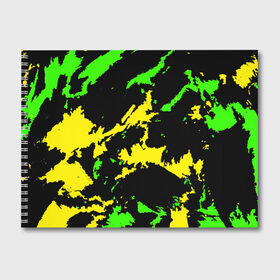 Альбом для рисования с принтом Желто-зеленый в Новосибирске, 100% бумага
 | матовая бумага, плотность 200 мг. | Тематика изображения на принте: casual | neon | pattern | абстрактный | брызги | граффити | грязь | зелень | камуфляж | кислотный | краска | красочный | мазки | маскировка | милитари | неоновый | отпечаток | пятна | пятнистый | разноцветный
