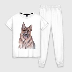 Женская пижама хлопок с принтом Овчарка в Новосибирске, 100% хлопок | брюки и футболка прямого кроя, без карманов, на брюках мягкая резинка на поясе и по низу штанин | акварель | животные | звери | краски | овчарка | песокафе | питомцы | рисунок | собаки