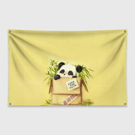 Флаг-баннер с принтом Заказывали Панду? ? в Новосибирске, 100% полиэстер | размер 67 х 109 см, плотность ткани — 95 г/м2; по краям флага есть четыре люверса для крепления | order | panda | заказ | заказывали панду | панда | панда в коробке