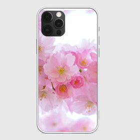 Чехол для iPhone 12 Pro Max с принтом Сакура в Новосибирске, Силикон |  | красивые | лето | летоахлето | летовернись | летожара | летонеуходи | летоцветы | леточко | любовь | много | много цветов | насекомые | радость | сакура | цветы