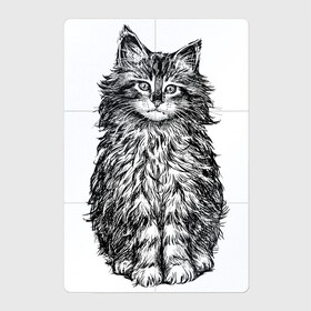 Магнитный плакат 2Х3 с принтом Пушистый котенок в Новосибирске, Полимерный материал с магнитным слоем | 6 деталей размером 9*9 см | белый котенок | кот | котенок | коты | котята | кошечка | кошка | кошки | милые котята | милый котенок | няшки | пушистый котенок