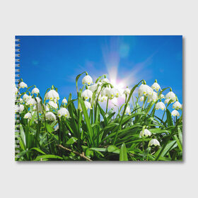Альбом для рисования с принтом Подснежники в Новосибирске, 100% бумага
 | матовая бумага, плотность 200 мг. | зелень | подснежник | подснежники | природа | природный | растение | растения | флора | цветок | цветочек | цветы
