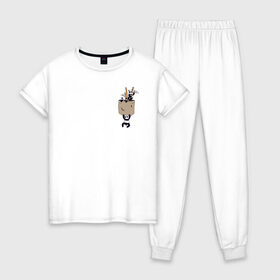 Женская пижама хлопок с принтом Панды в Новосибирске, 100% хлопок | брюки и футболка прямого кроя, без карманов, на брюках мягкая резинка на поясе и по низу штанин | бамбук | животные | карман | панда