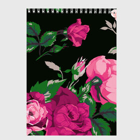 Скетчбук с принтом Розы в Новосибирске, 100% бумага
 | 48 листов, плотность листов — 100 г/м2, плотность картонной обложки — 250 г/м2. Листы скреплены сверху удобной пружинной спиралью | Тематика изображения на принте: арт | бутон | бутоны | зеленый | краски | кусты роз | рисунок | роза | розовая роза | розовые розы | розовый | розы