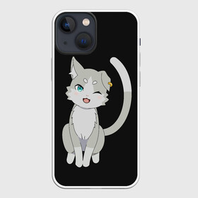 Чехол для iPhone 13 mini с принтом Re:Zero в Новосибирске,  |  | anime | cat | cats | glitch | japan | ram | re | rem | rezero | senpai | subaru | waifu | zero | анимация | аниме | вайфу | глитч | глич | кот | кошка | мультсериал | мультфильм | семпай | сенпай | сериал | япония