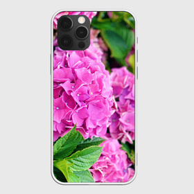 Чехол для iPhone 12 Pro Max с принтом Гортензия в Новосибирске, Силикон |  | blooming. | floral | flower | hydrangea | nature | ботаника | букет | бутон | гортензия | клумба | лепесток | лето | листья | сад | цветение | цветок | цветы