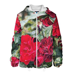 Мужская куртка 3D с принтом Red Roses в Новосибирске, ткань верха — 100% полиэстер, подклад — флис | прямой крой, подол и капюшон оформлены резинкой с фиксаторами, два кармана без застежек по бокам, один большой потайной карман на груди. Карман на груди застегивается на липучку | Тематика изображения на принте: bush | floral | flower | garden | green | nature | red roses | бутоны | красная роза | куст | листья | природа | роза | сад | цветение | цветок | цветы
