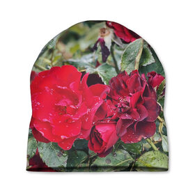 Шапка 3D с принтом Red Roses в Новосибирске, 100% полиэстер | универсальный размер, печать по всей поверхности изделия | bush | floral | flower | garden | green | nature | red roses | бутоны | красная роза | куст | листья | природа | роза | сад | цветение | цветок | цветы