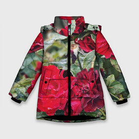 Зимняя куртка для девочек 3D с принтом Red Roses в Новосибирске, ткань верха — 100% полиэстер; подклад — 100% полиэстер, утеплитель — 100% полиэстер. | длина ниже бедра, удлиненная спинка, воротник стойка и отстегивающийся капюшон. Есть боковые карманы с листочкой на кнопках, утяжки по низу изделия и внутренний карман на молнии. 

Предусмотрены светоотражающий принт на спинке, радужный светоотражающий элемент на пуллере молнии и на резинке для утяжки. | bush | floral | flower | garden | green | nature | red roses | бутоны | красная роза | куст | листья | природа | роза | сад | цветение | цветок | цветы