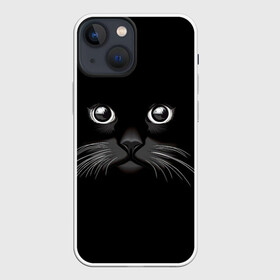 Чехол для iPhone 13 mini с принтом Кошачья моська в Новосибирске,  |  | арт | вектор | кот | котёнок | кошка | рисунок | черная кошка | чёрный | черный кот | черный котенок