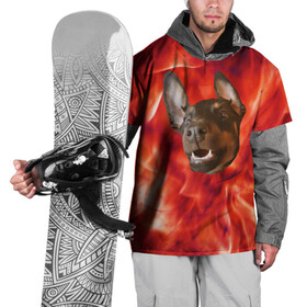 Накидка на куртку 3D с принтом Огненый Пес в Новосибирске, 100% полиэстер |  | голова | горячий | горящий | доберман | животное | зверек | зверь | зубы | клык | красный | лицо | овчарка | огонь | пес | пламя | рот | ротвейлер | свет | собака | удивленный | улыбка | щенок