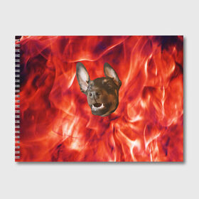 Альбом для рисования с принтом Огненый Пес в Новосибирске, 100% бумага
 | матовая бумага, плотность 200 мг. | Тематика изображения на принте: голова | горячий | горящий | доберман | животное | зверек | зверь | зубы | клык | красный | лицо | овчарка | огонь | пес | пламя | рот | ротвейлер | свет | собака | удивленный | улыбка | щенок