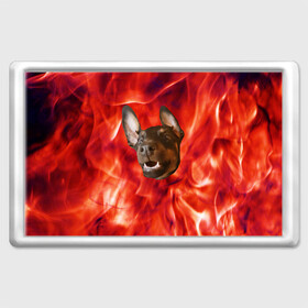 Магнит 45*70 с принтом Огненый Пес в Новосибирске, Пластик | Размер: 78*52 мм; Размер печати: 70*45 | голова | горячий | горящий | доберман | животное | зверек | зверь | зубы | клык | красный | лицо | овчарка | огонь | пес | пламя | рот | ротвейлер | свет | собака | удивленный | улыбка | щенок