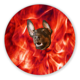 Коврик для мышки круглый с принтом Огненый Пес в Новосибирске, резина и полиэстер | круглая форма, изображение наносится на всю лицевую часть | Тематика изображения на принте: голова | горячий | горящий | доберман | животное | зверек | зверь | зубы | клык | красный | лицо | овчарка | огонь | пес | пламя | рот | ротвейлер | свет | собака | удивленный | улыбка | щенок