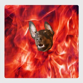 Магнитный плакат 3Х3 с принтом Огненый Пес в Новосибирске, Полимерный материал с магнитным слоем | 9 деталей размером 9*9 см | голова | горячий | горящий | доберман | животное | зверек | зверь | зубы | клык | красный | лицо | овчарка | огонь | пес | пламя | рот | ротвейлер | свет | собака | удивленный | улыбка | щенок