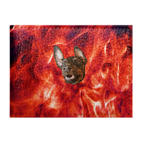 Обложка для студенческого билета с принтом Огненый Пес в Новосибирске, натуральная кожа | Размер: 11*8 см; Печать на всей внешней стороне | голова | горячий | горящий | доберман | животное | зверек | зверь | зубы | клык | красный | лицо | овчарка | огонь | пес | пламя | рот | ротвейлер | свет | собака | удивленный | улыбка | щенок