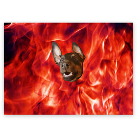 Поздравительная открытка с принтом Огненый Пес в Новосибирске, 100% бумага | плотность бумаги 280 г/м2, матовая, на обратной стороне линовка и место для марки
 | Тематика изображения на принте: голова | горячий | горящий | доберман | животное | зверек | зверь | зубы | клык | красный | лицо | овчарка | огонь | пес | пламя | рот | ротвейлер | свет | собака | удивленный | улыбка | щенок