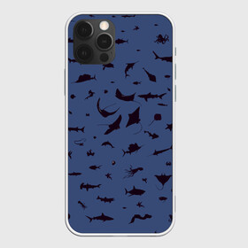 Чехол для iPhone 12 Pro с принтом Manta в Новосибирске, силикон | область печати: задняя сторона чехла, без боковых панелей | Тематика изображения на принте: dolphin | fish | killer whale | manta | see life | shark | акула | дельфин | касатка | морские обитатели | рыба
