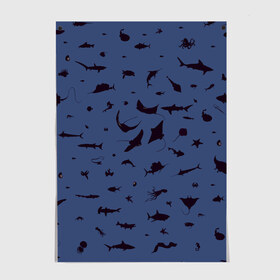 Постер с принтом Manta в Новосибирске, 100% бумага
 | бумага, плотность 150 мг. Матовая, но за счет высокого коэффициента гладкости имеет небольшой блеск и дает на свету блики, но в отличии от глянцевой бумаги не покрыта лаком | dolphin | fish | killer whale | manta | see life | shark | акула | дельфин | касатка | морские обитатели | рыба