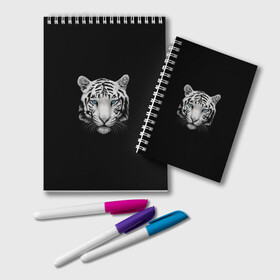 Блокнот с принтом тигр белый тигр в Новосибирске, 100% бумага | 48 листов, плотность листов — 60 г/м2, плотность картонной обложки — 250 г/м2. Листы скреплены удобной пружинной спиралью. Цвет линий — светло-серый
 | Тематика изображения на принте: белый тигр | тигр