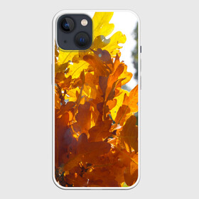 Чехол для iPhone 13 с принтом Букет из осенних листьев в Новосибирске,  |  | Тематика изображения на принте: бабье лето | золотая осень | листья желтые | листья осенние | сентябрь | третье сентября